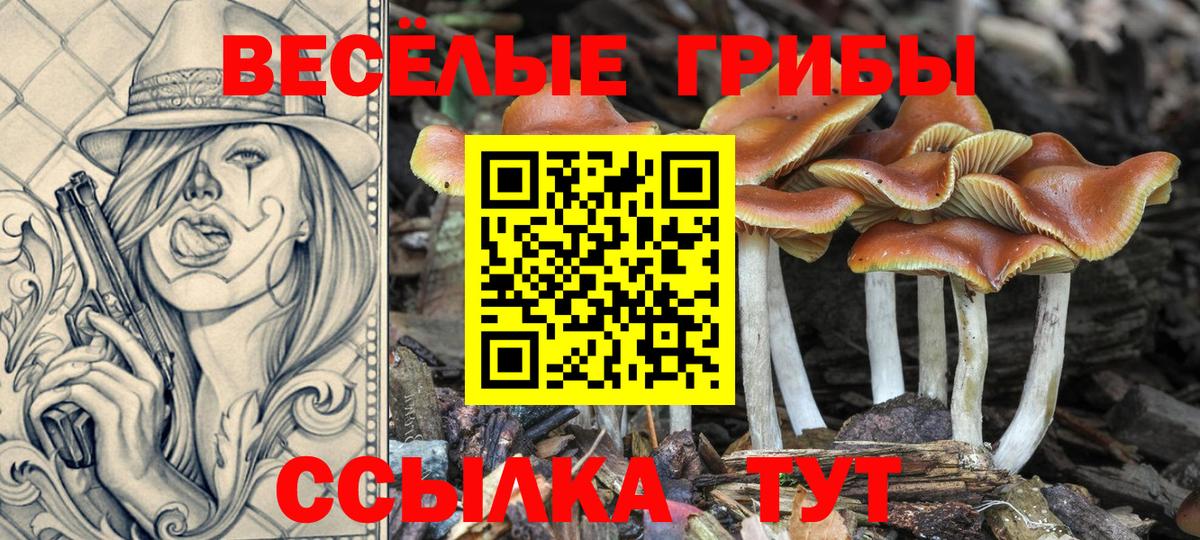 Галлюциногенные грибы прущие грибы  Вход с VPN  Иваново 